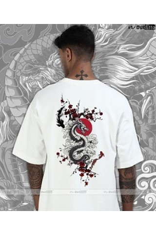 Dragon Soul Collection 05 Dragon Soul Collection 05